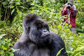 Road trip to Bwindi impenetrable National Park