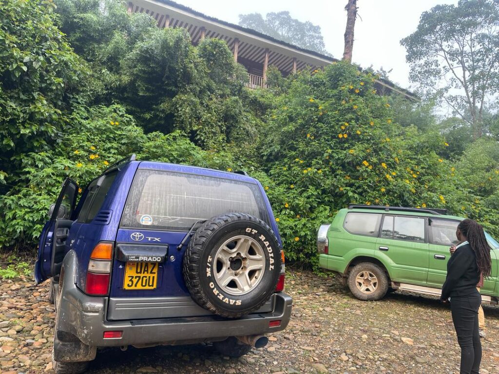 Car Hire East Africa