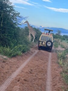 self drive car hire in East Africa